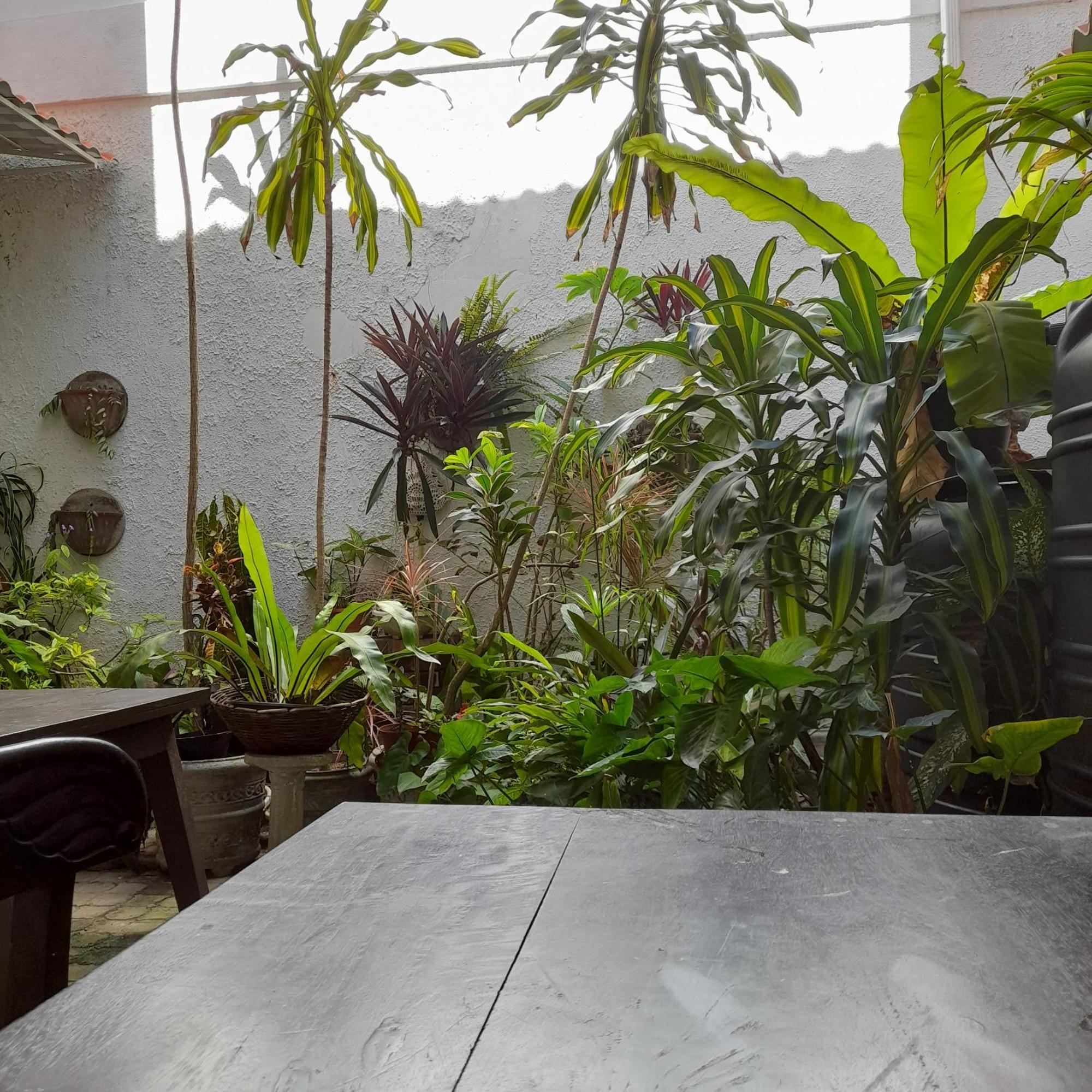 Shoba Traveller'S Tree Homes Stay Galle Exterior photo