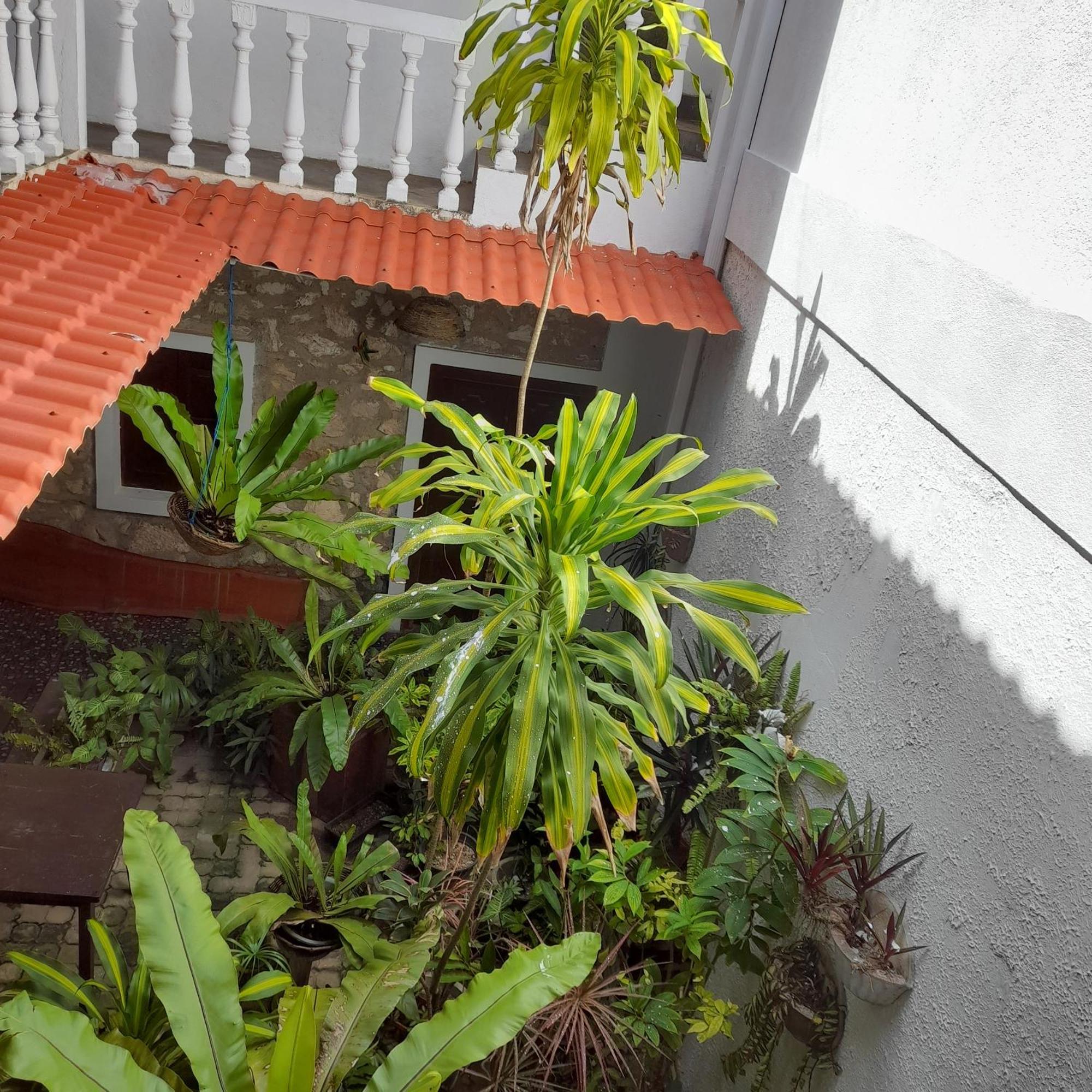 Shoba Traveller'S Tree Homes Stay Galle Exterior photo