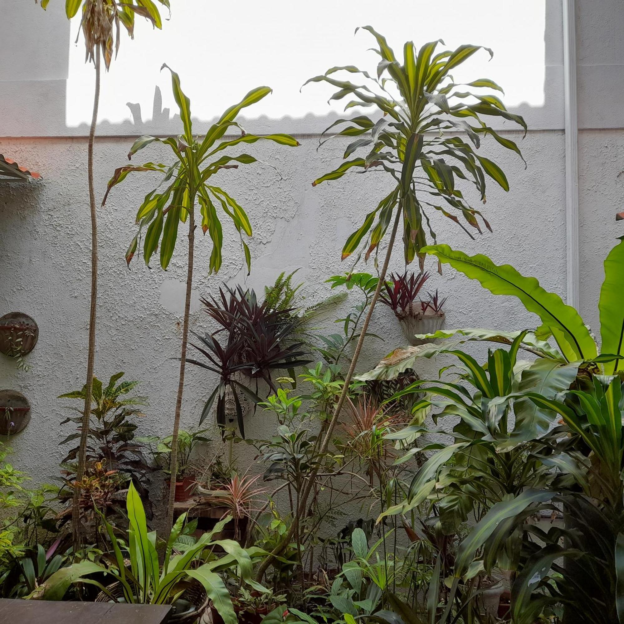 Shoba Traveller'S Tree Homes Stay Galle Exterior photo